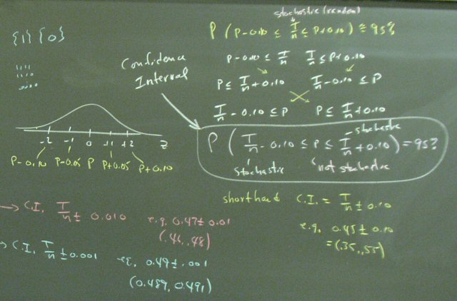 PB060054a.JPG